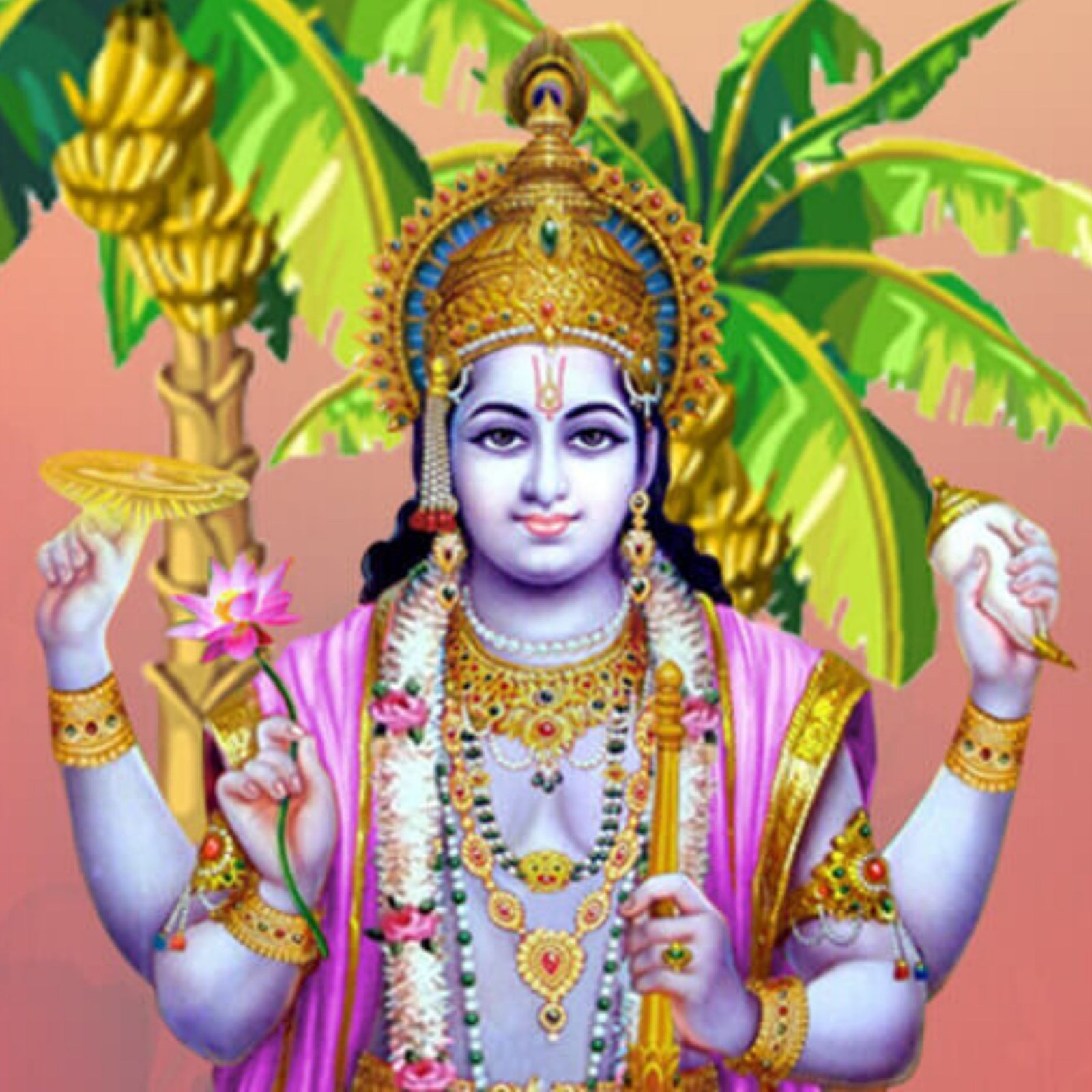 Satya Narayan Vrat Katha